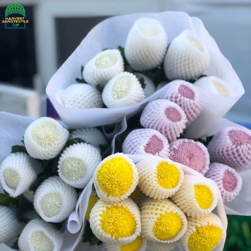 flowerfoamnet-2