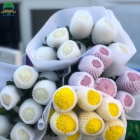 flowerfoamnet-2