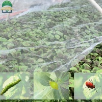 insect1-2