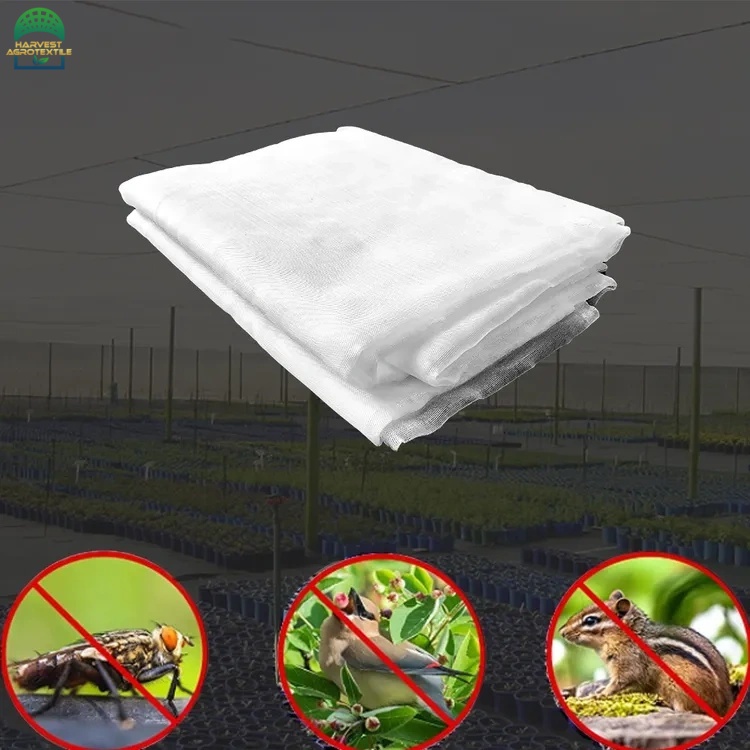 insectnet-1