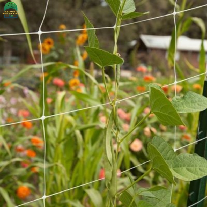 plantsupportnet-3