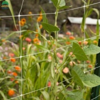 plantsupportnet-3