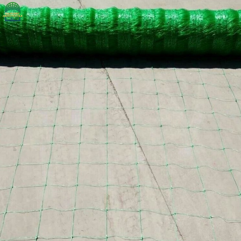 plantsupportnet-10