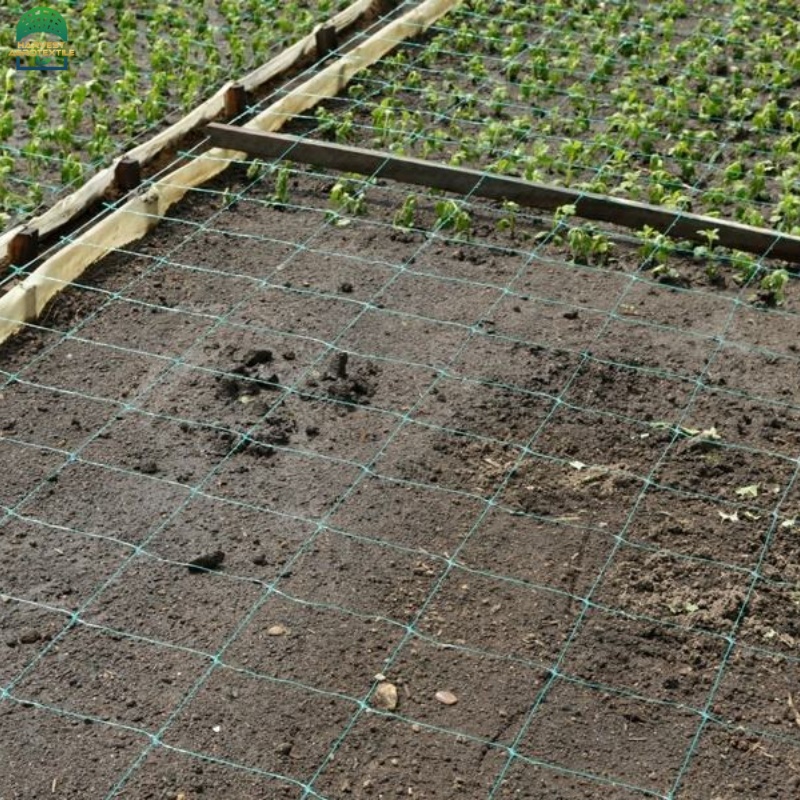 plantsupportnet-11