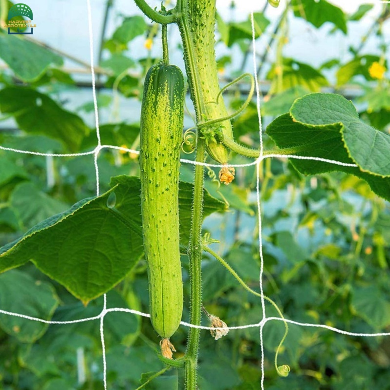 plantsupportnet-20