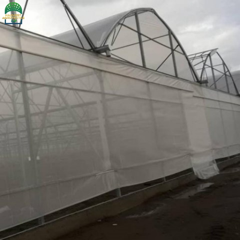 25insectnet-1