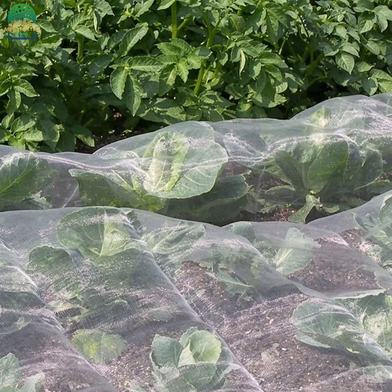 25insectnet-2