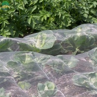 25insectnet-2
