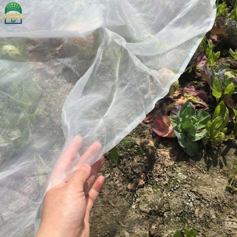 25insectnet-5