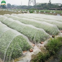 25insectnet-6