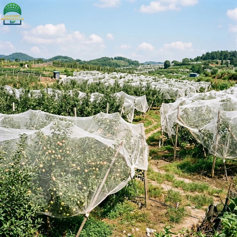 40insectnet-1