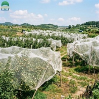 40insectnet-1