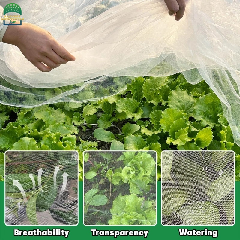 40insectnet-8
