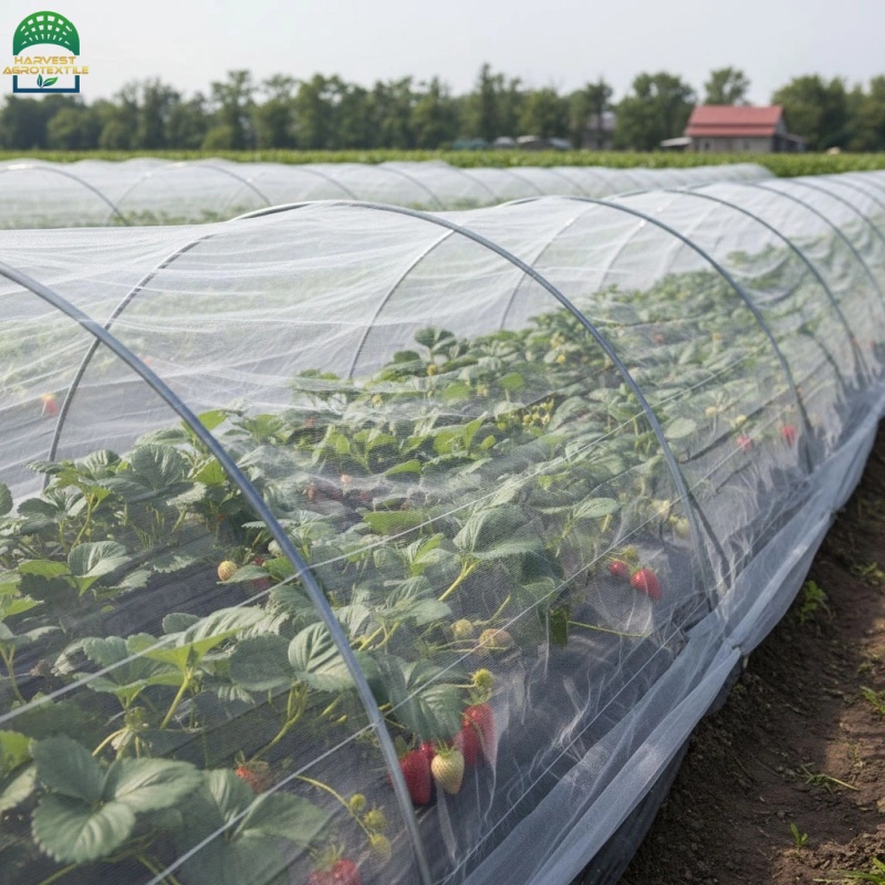 40insectnet-13