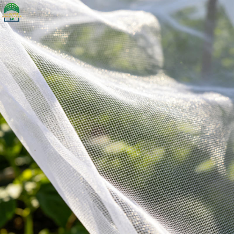 50insectnet-4