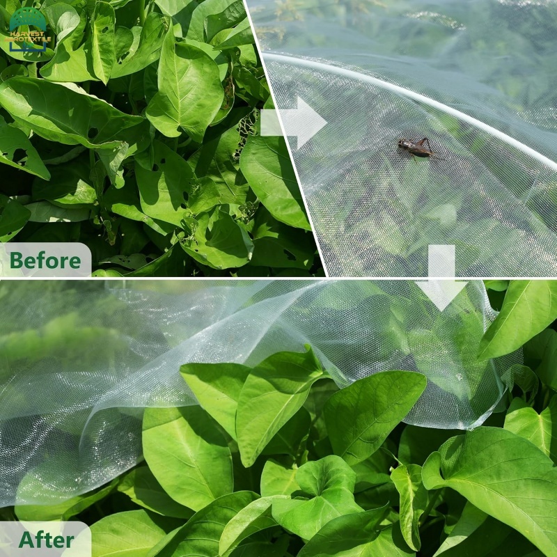 50insectnet-8