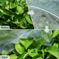 50insectnet-8