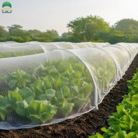 50insectnet-15