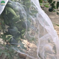 50insectnet-17