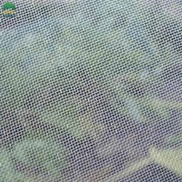 50insectnet-20