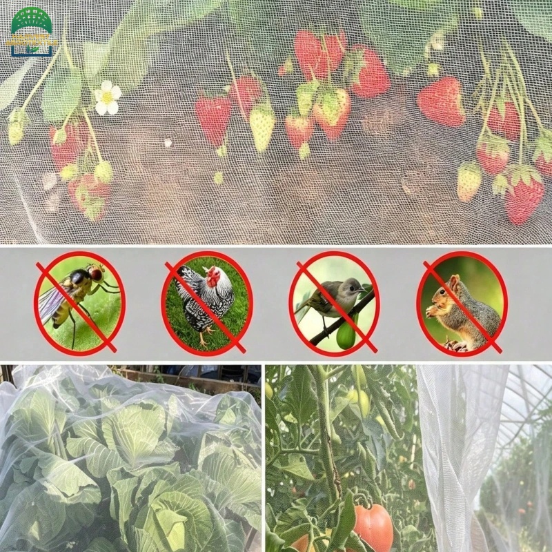 60insectnet-3