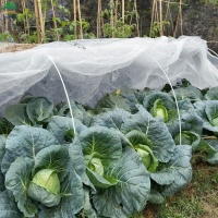 90insectnet-1