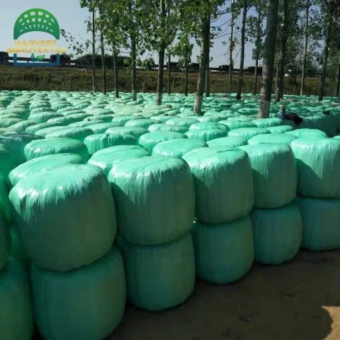 r389_20230403120515389.jpg_480x480