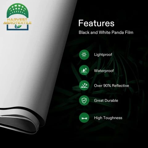 20230403193429348.png_480x480