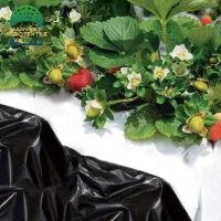 r348_20230403193429348.jpg_480x480