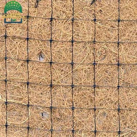 r85_20230401145929085.jpg_480x480