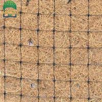 r85_20230401145929085.jpg_480x480