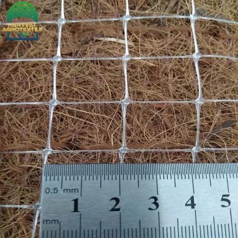 r784_20230401145842784.jpg_480x480