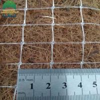 r784_20230401145842784.jpg_480x480