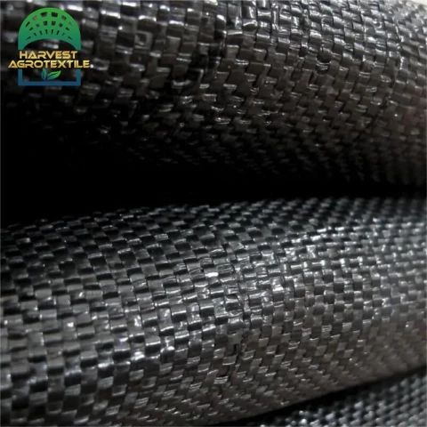 20230401162040283.jpg_480x480