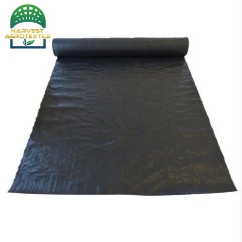 r337_20230401162023337.jpg_480x480