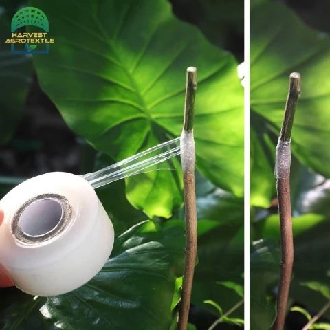 20230306134707565.jpg_480x480