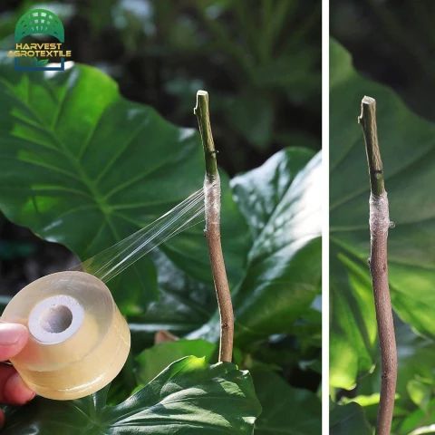 r330_20230306134726330.jpg_480x480