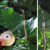 r330_20230306134726330.jpg_480x480