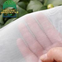 20230401185305654.png_480x480