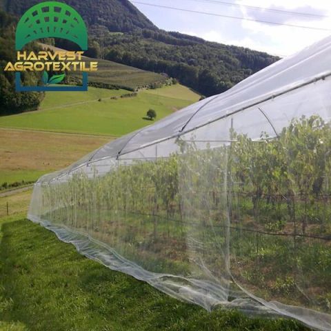 r654_20230401185305654.jpg_480x480