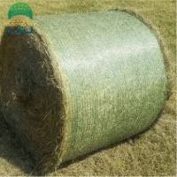 r633_20230404200007633.png_480x480