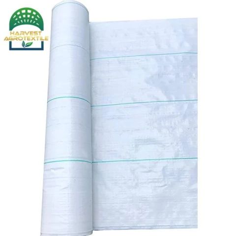 20230405130244100.jpg_480x480