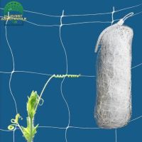 20230404194023384.jpg_480x480