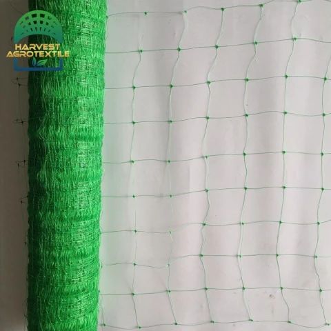 r384_20230404194023384.jpg_480x480