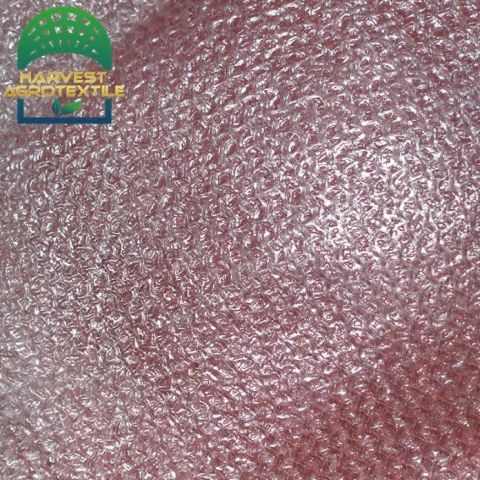 r167_20230411191025167.jpg_480x480