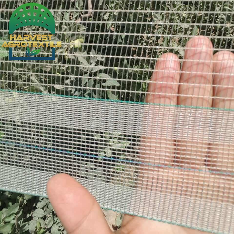 ee9793f00daf42c3549edaa283f89ab