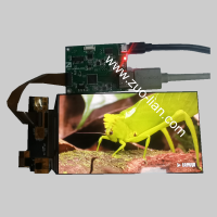 HDMI-544MIPI-V03-2