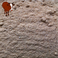 H4ffe48a34a854c8381bba6d3fbaef080y