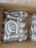 TianjinHardwareStainlessSteelShackle-2
