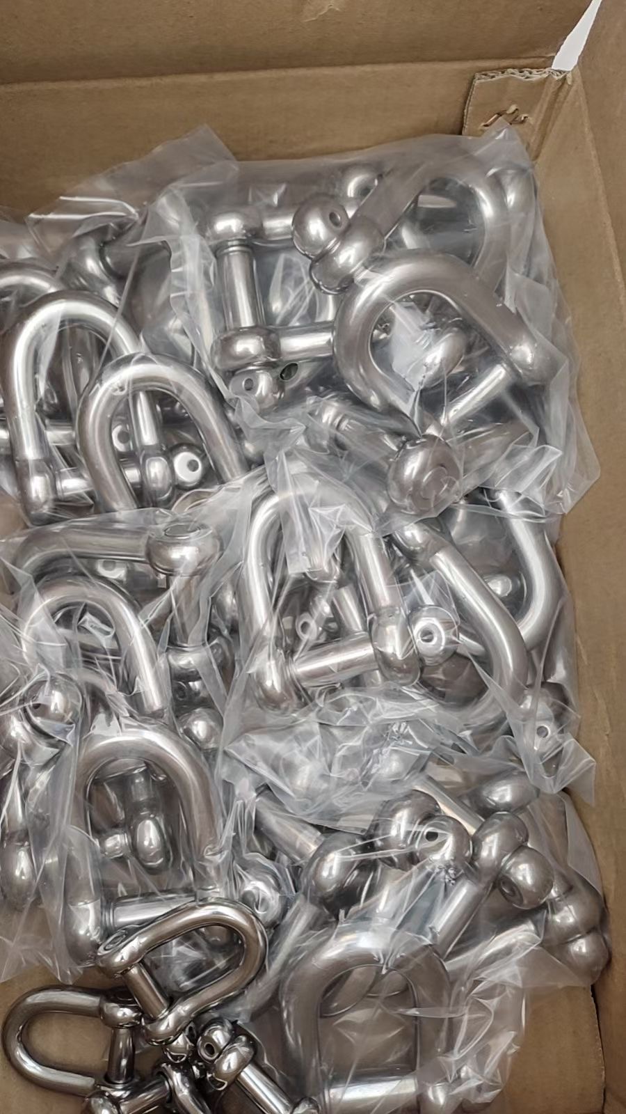 TianjinHardwareStainlessSteelShackle-3